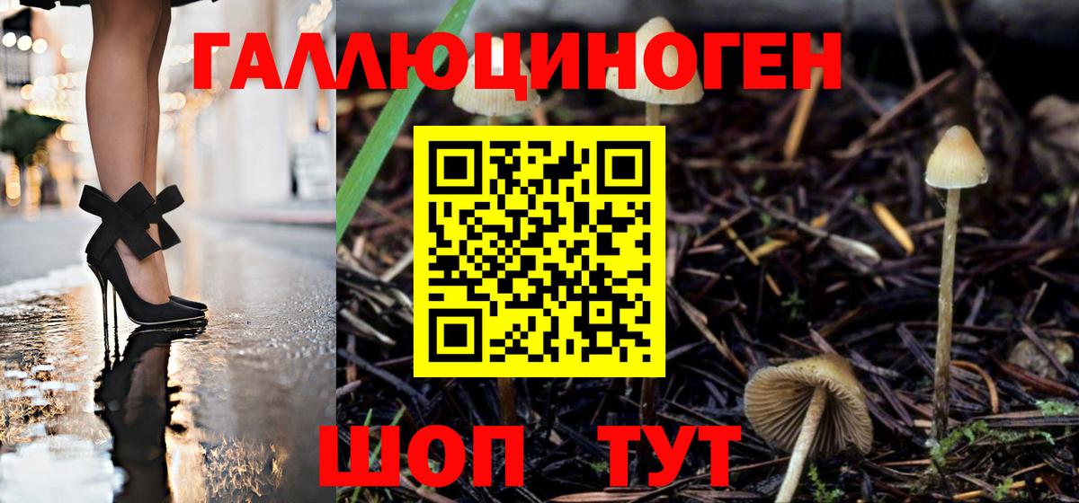 Псилоцибиновые грибы Magic Shrooms  Галлюциногенные грибы Magic Shrooms  Вход с VPN  даркнет сайт  Чехов 